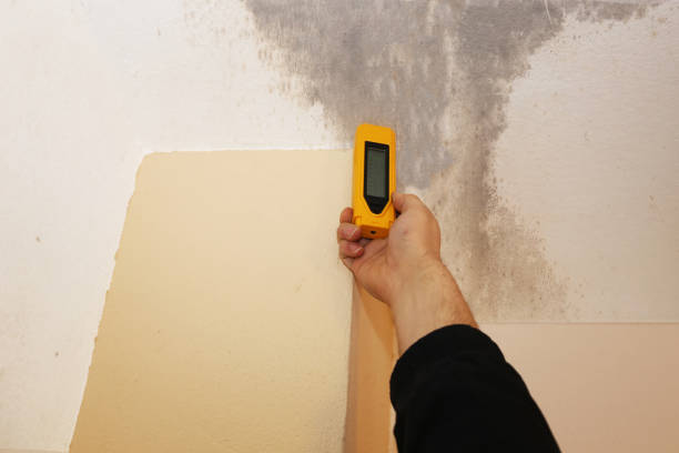 Biohazard Mold Removal in Imperial, PA