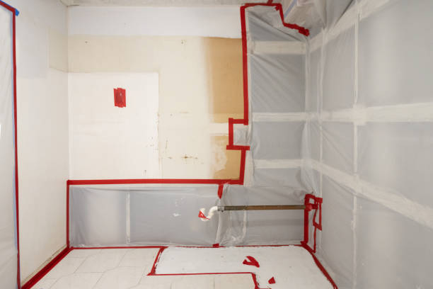Best HVAC Mold Inspection and Cleaning  in Imperial, PA