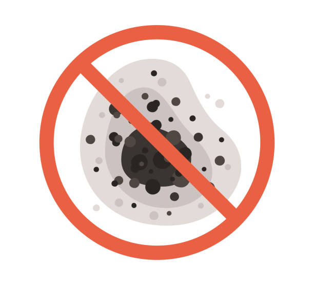 Reliable Imperial, PA Mold Removal Solutions